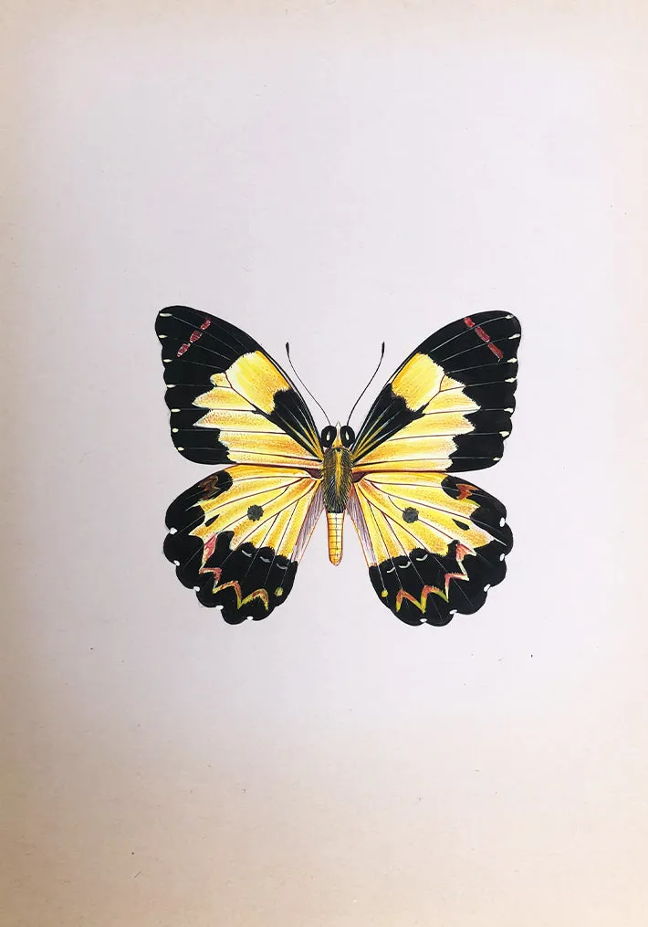 A Majestic Butterfly in Miniature Painting by Mohan Prajapati