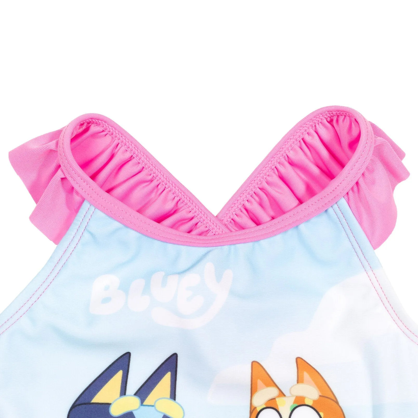 Bluey One Piece Bathing Suit