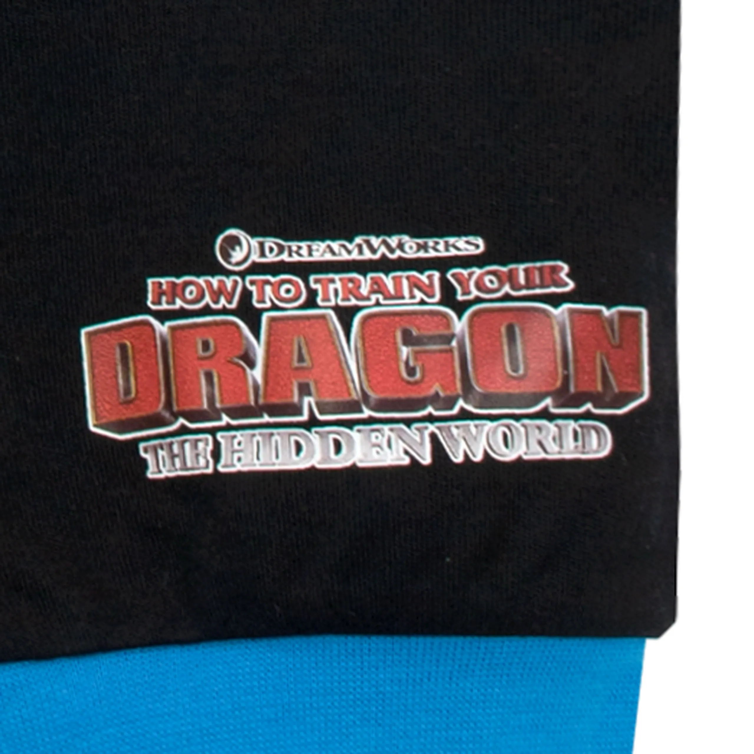 How To Train Your Dragon Pajamas