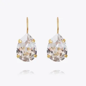 Mini Drop Clasp Earrings / Crystal