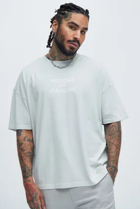 Paradise Of Pleasure Oversize Short Sleeve Tee - Grey