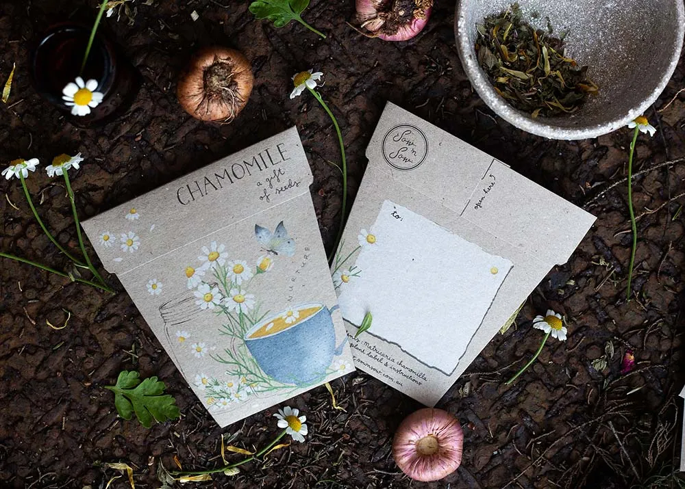 SOW N SOW - CHAMOMILE GIFT OF SEED