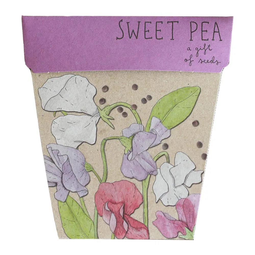 SOW N SOW - SWEET PEA GIFT OF SEEDS