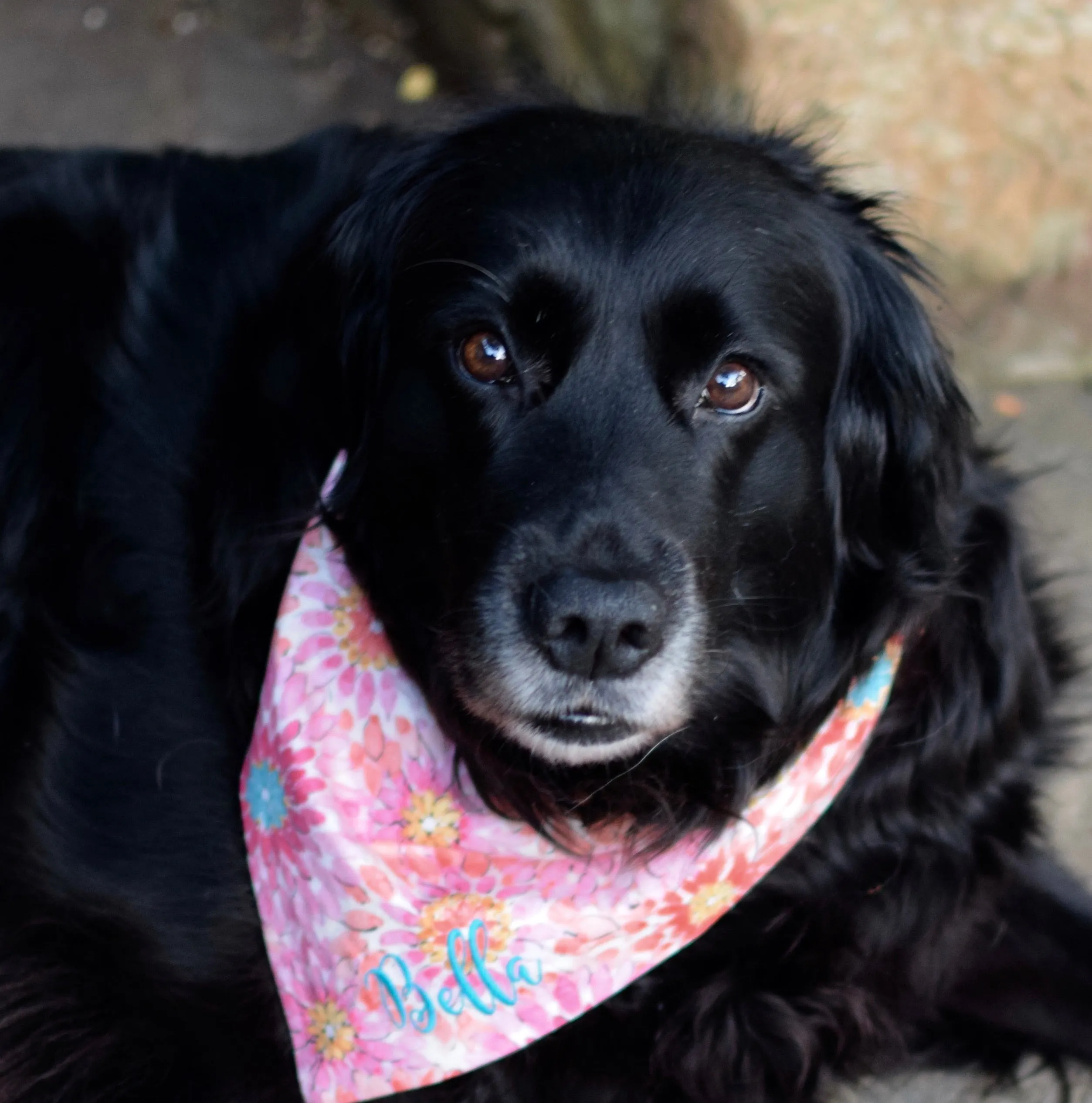 Summer Leaf Dog Bandanas with Embroidery