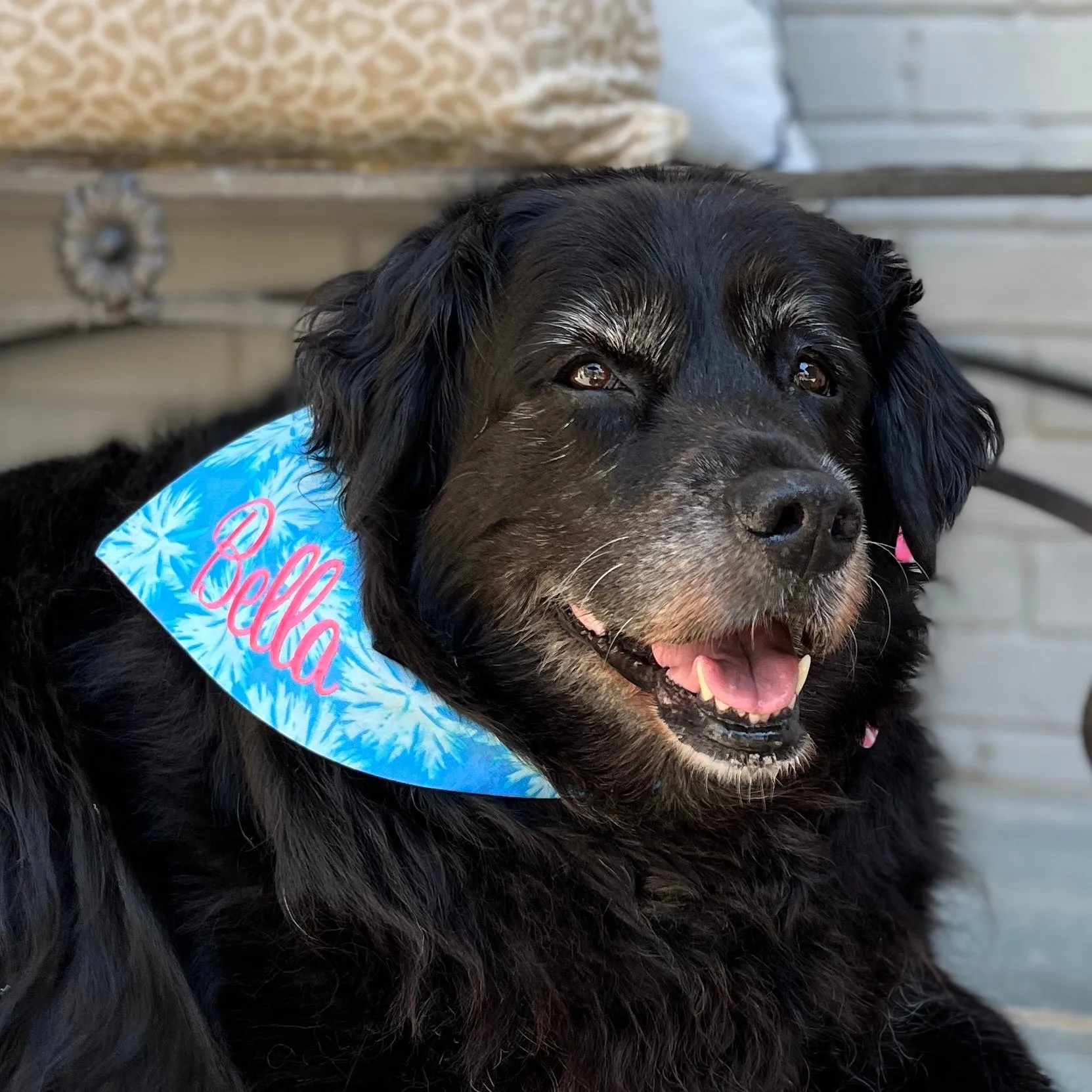 Summer Leaf Dog Bandanas with Embroidery