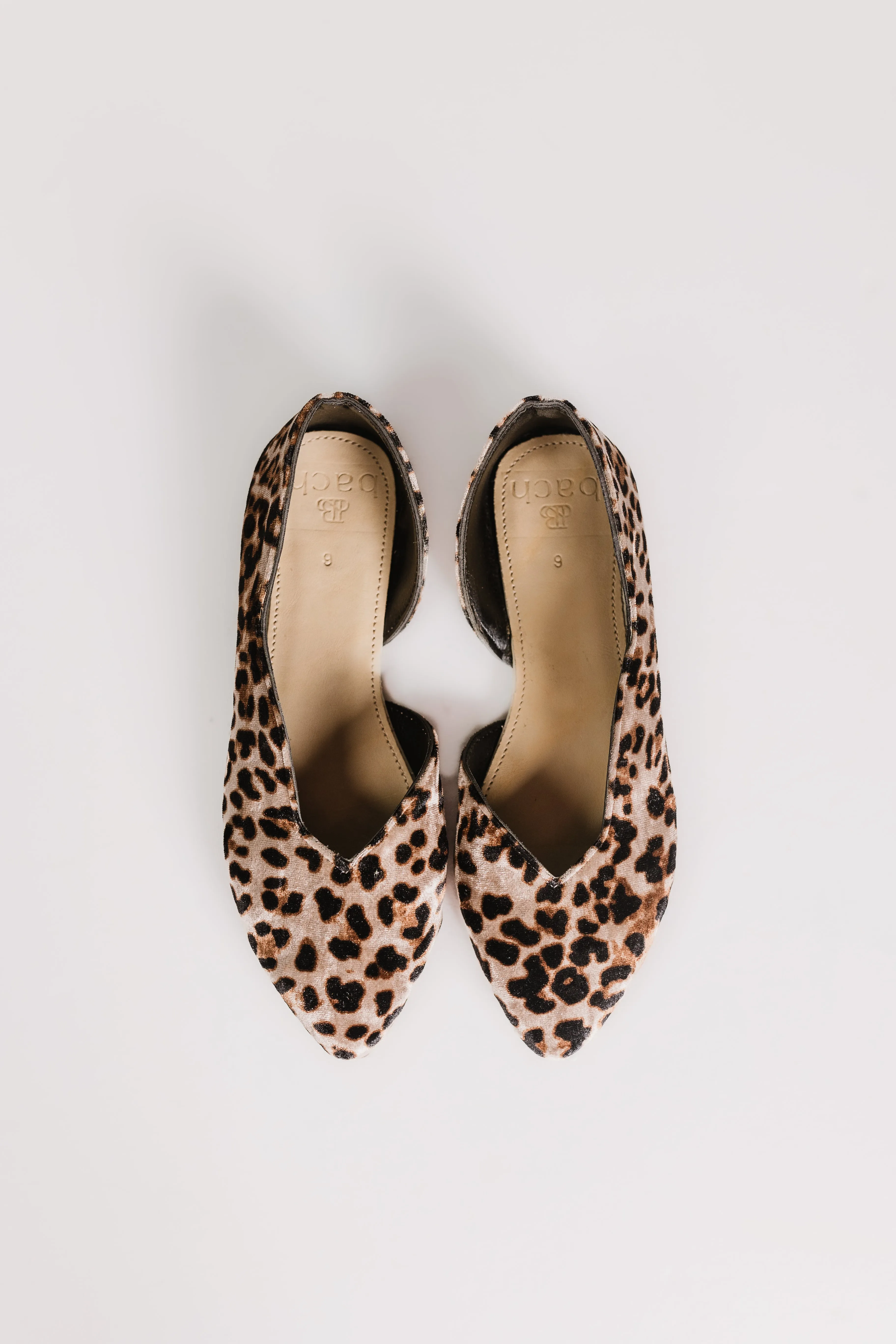 Velvet Laura Shoes (Leopard)